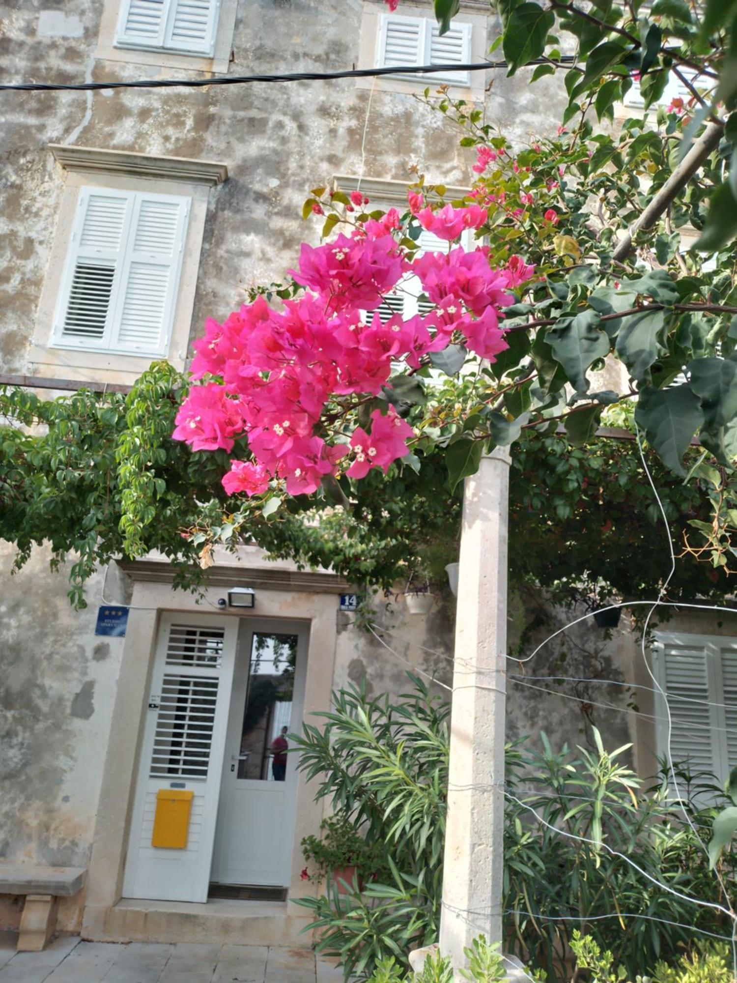Studio Apartman Ivanka Orebic Exterior photo